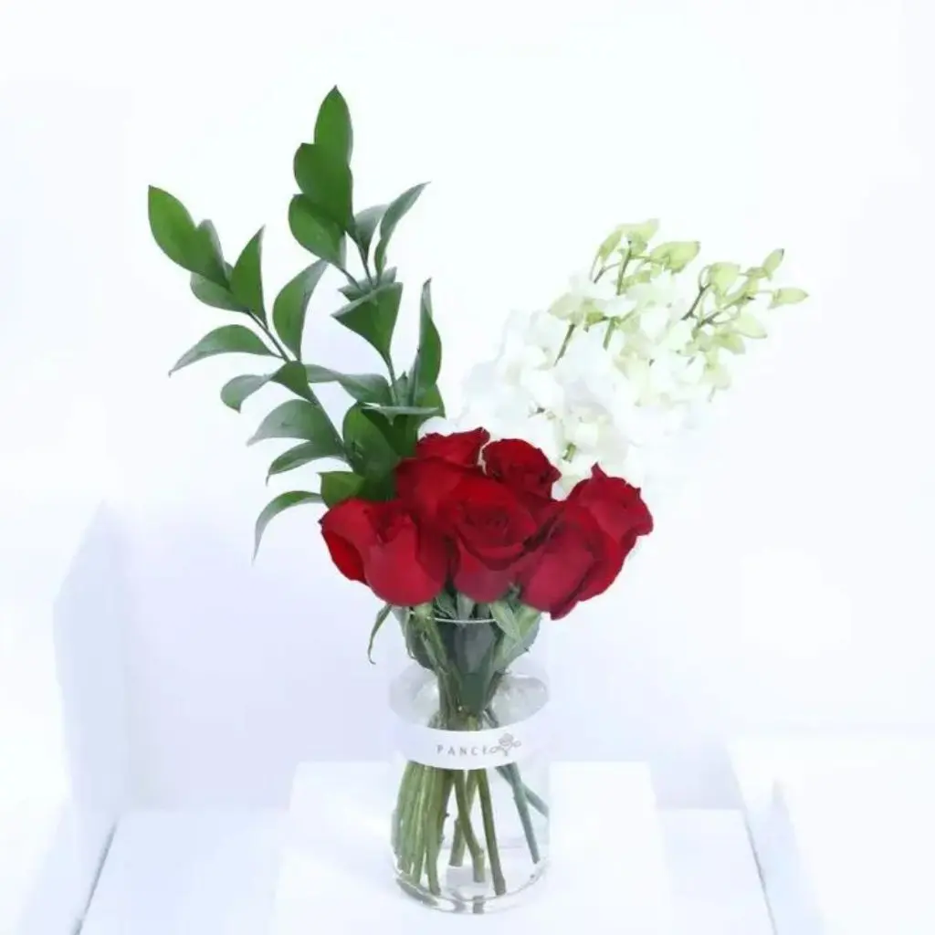 شذا الأحمر